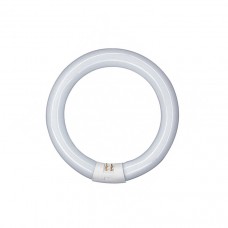 Tubo LED circular G10q 300mm 20W Blanco Frío