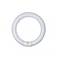 Tubo LED circular G10q 400mm 32W Blanco Frío