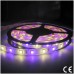 Tira LED 5 mts Flexible 72W 300 Led SMD 5050 IP20 RGB+WW Blanco Cálido Alta Luminosidad